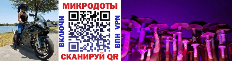 hydra зеркало  Ленинградская  Псилоцибиновые грибы Magic Shrooms  сколько стоит 