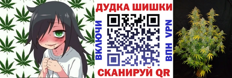 Бошки марихуана планчик  Ленинградская 